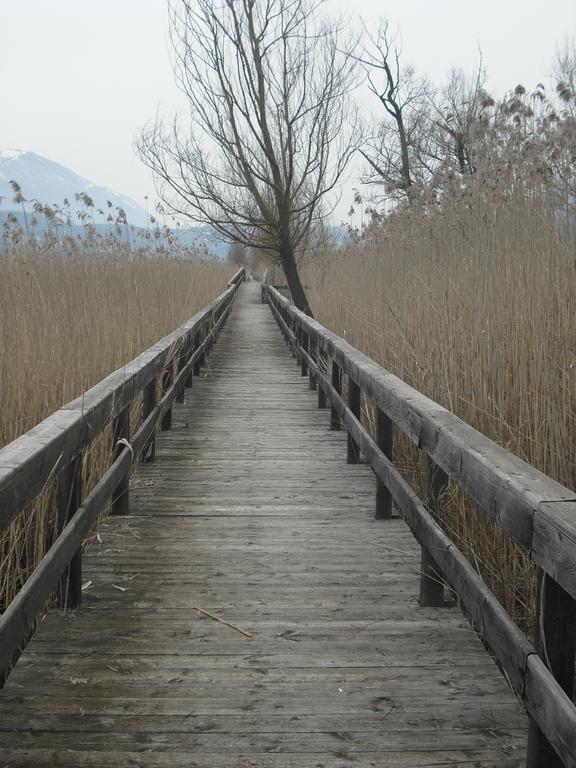La Casa Sul Lago Posta Fibreno 외부 사진