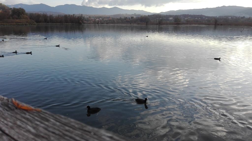 La Casa Sul Lago Posta Fibreno 외부 사진