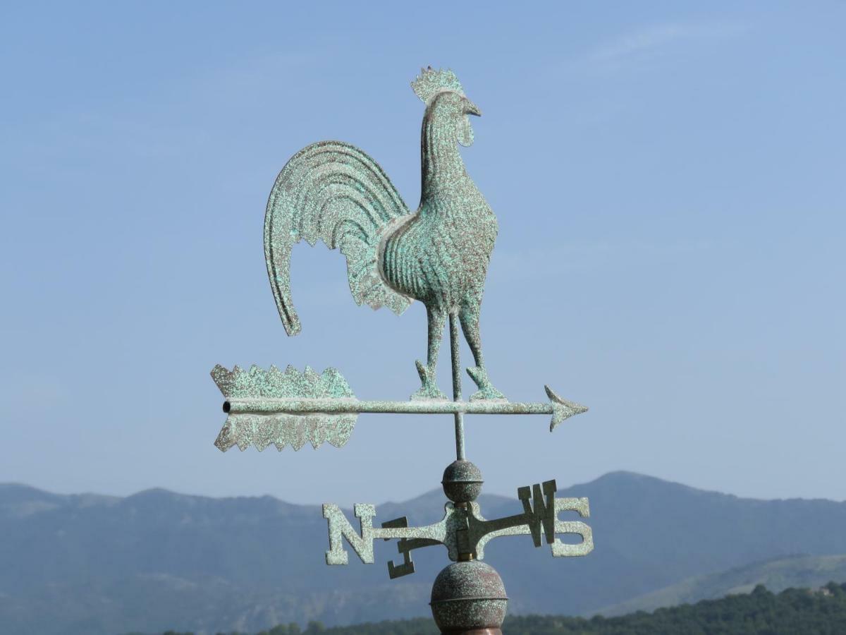 La Casa Sul Lago Posta Fibreno 외부 사진